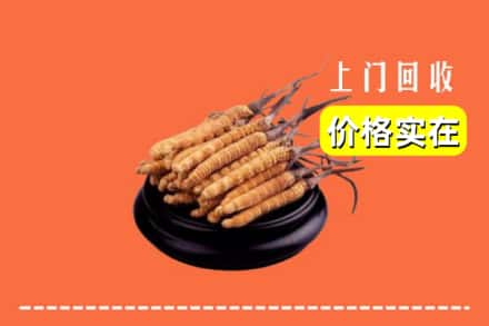 城中区回收冬虫夏草